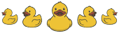5 Ducks Logo